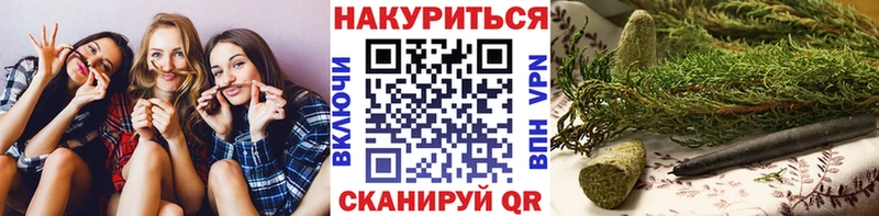 Шишки марихуана сатива  продажа наркотиков  Кораблино 